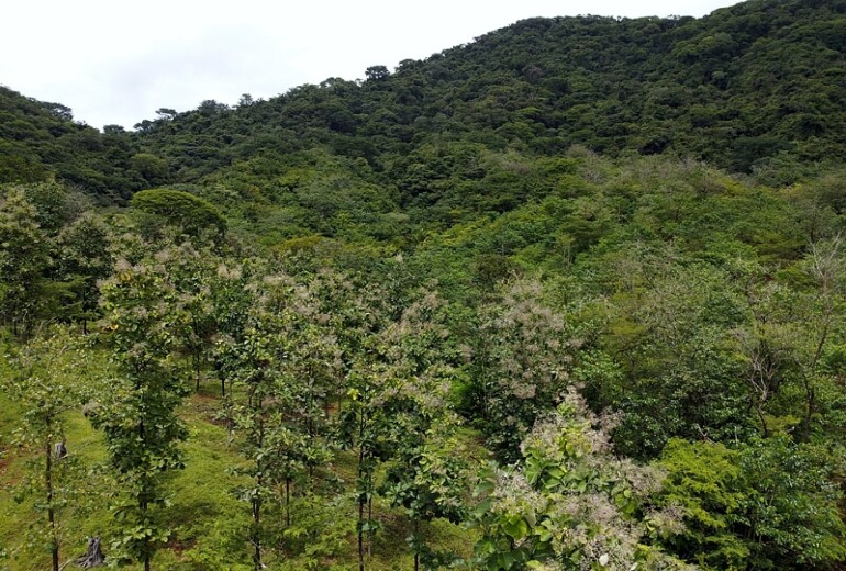 Property for sale in Costa Rica