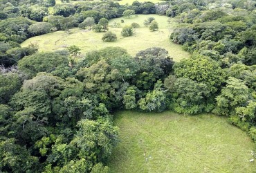 Real Estate for sale in Costa Rica
